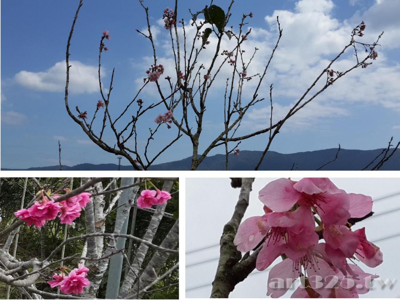 Yi Tian Homestay Fenglin Exterior foto