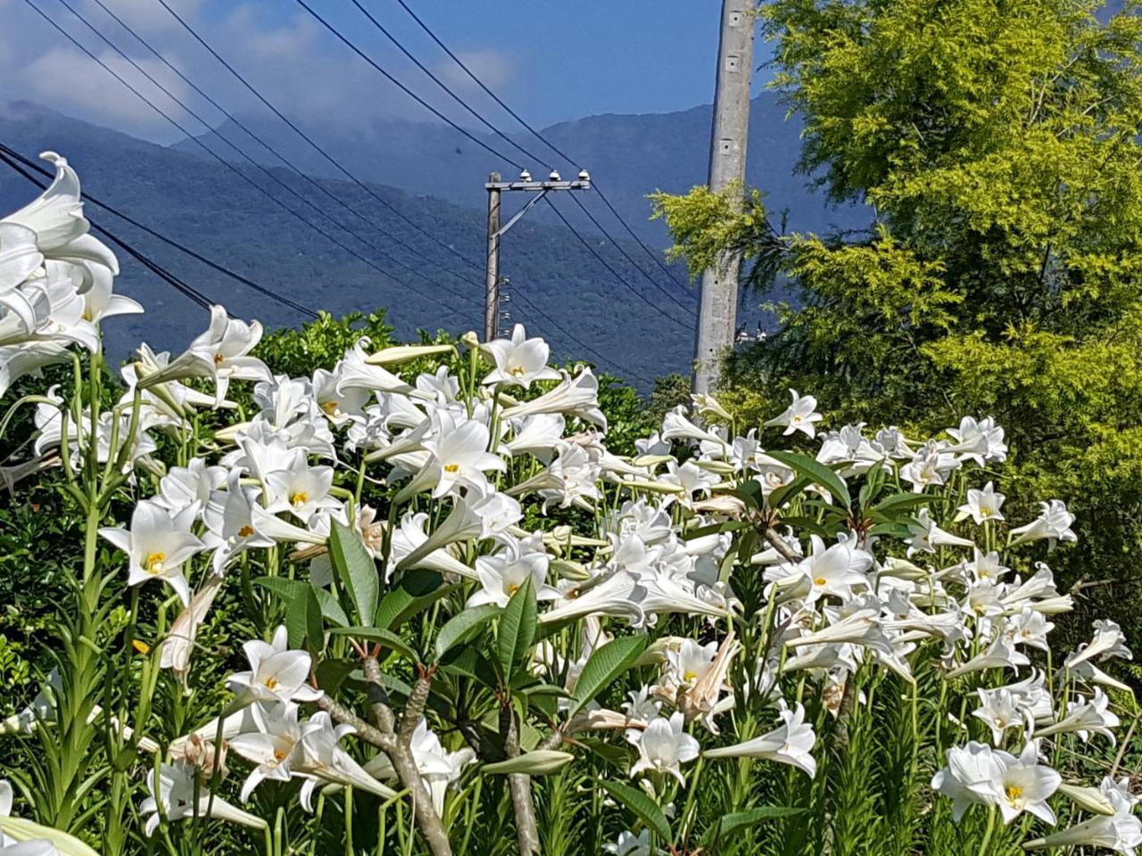 Yi Tian Homestay Fenglin Exterior foto